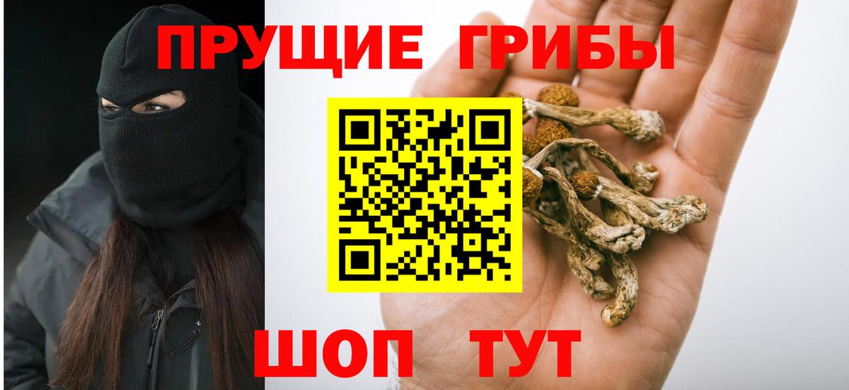 Псилоцибиновые грибы мухоморы  Вход с VPN  Псилоцибиновые грибы прущие грибы  Новосибирск 