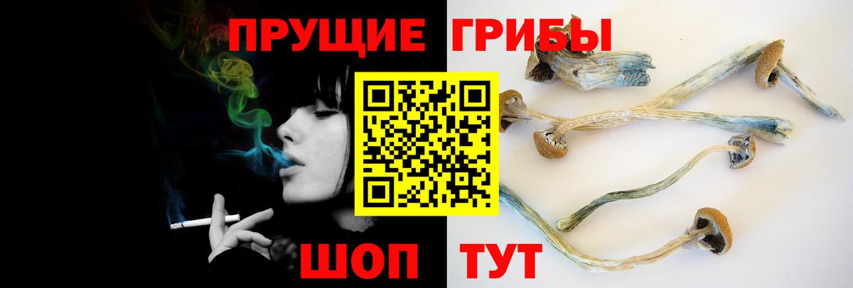 Псилоцибиновые грибы GOLDEN TEACHER Новосибирск